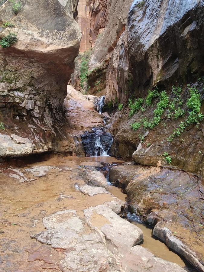 Zion'S Cozy Cabin'S Hildale Exterior foto
